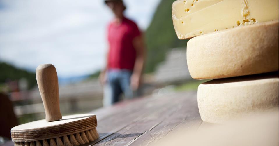Forme di formaggio e spazzola su un tavolo di legno