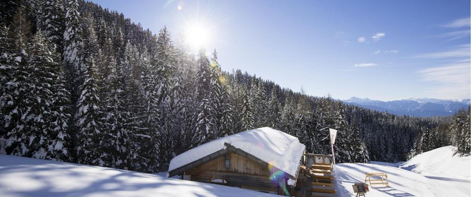 Verschneite Berghütte am Waldrand mit Sonnenschein und Blick auf winterliche Berglandschaft.
