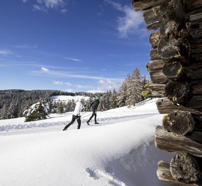 winter-langlauf-dsc8367