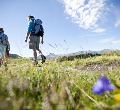 Eine Familie beim Wandern im Sommer