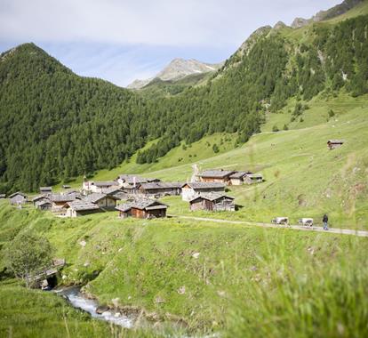 Villaggio alpino in paesaggio montano verde con mandriano, pascoli, ruscelli e boschi.