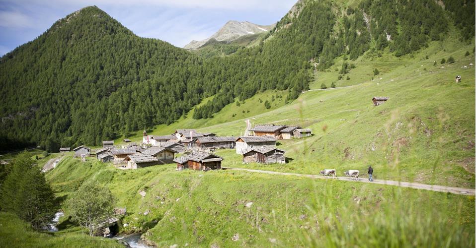 Villaggio alpino in paesaggio montano verde con mandriano, pascoli, ruscelli e boschi.
