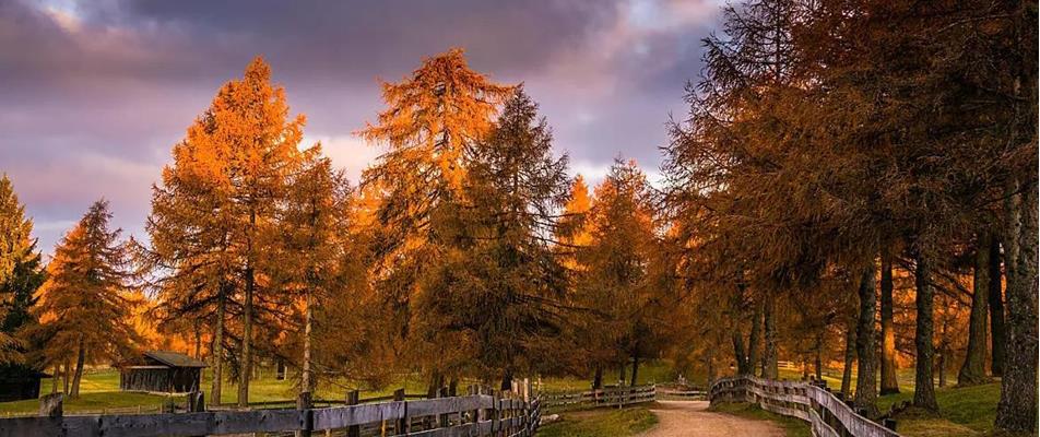 herbst04