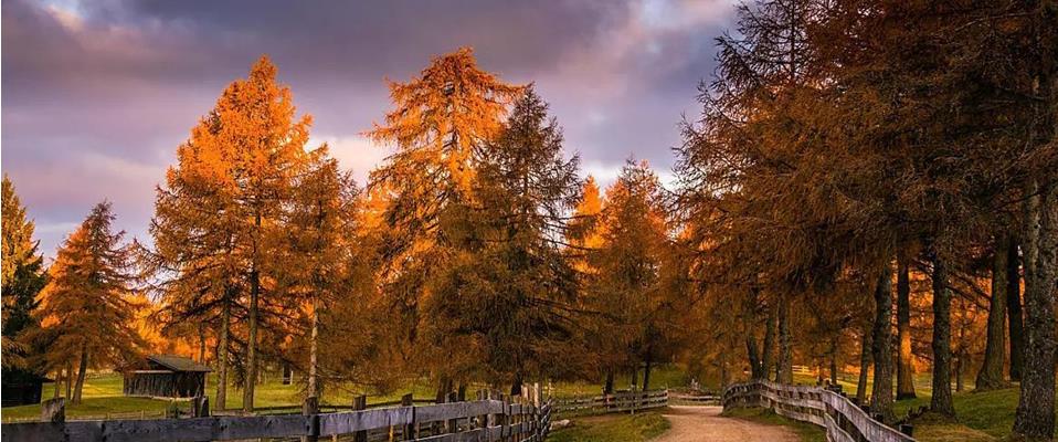 herbst04