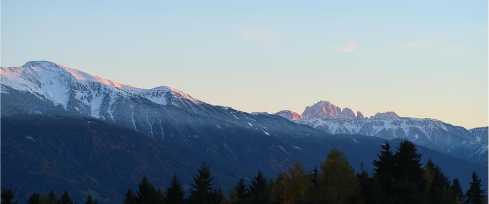 whatsapp-image-2026-02-22-at-15-07-26