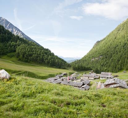 Mucca su un prato alpino fiorito sopra un villaggio di montagna tradizionale tra valli e montagne verdi.