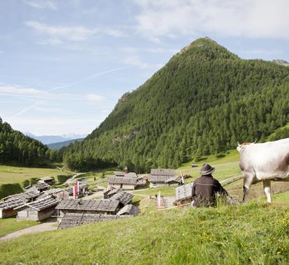 Farmer with hat sits beside a cow on a meadow, overlooking an alpine mountain village below.
