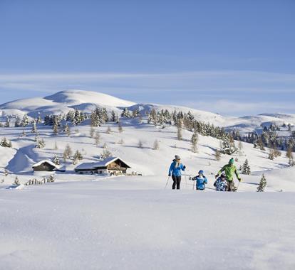 winter-rodenecker-alm-dsc8541